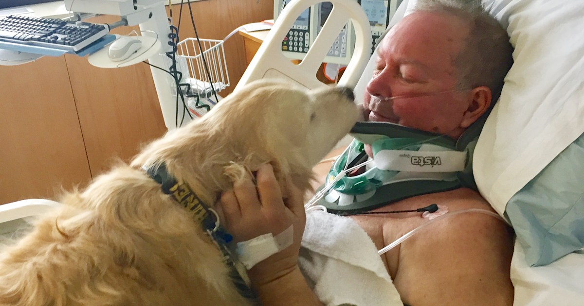 Dog stays by owner's side for 20 hours after man falls on ice and ...