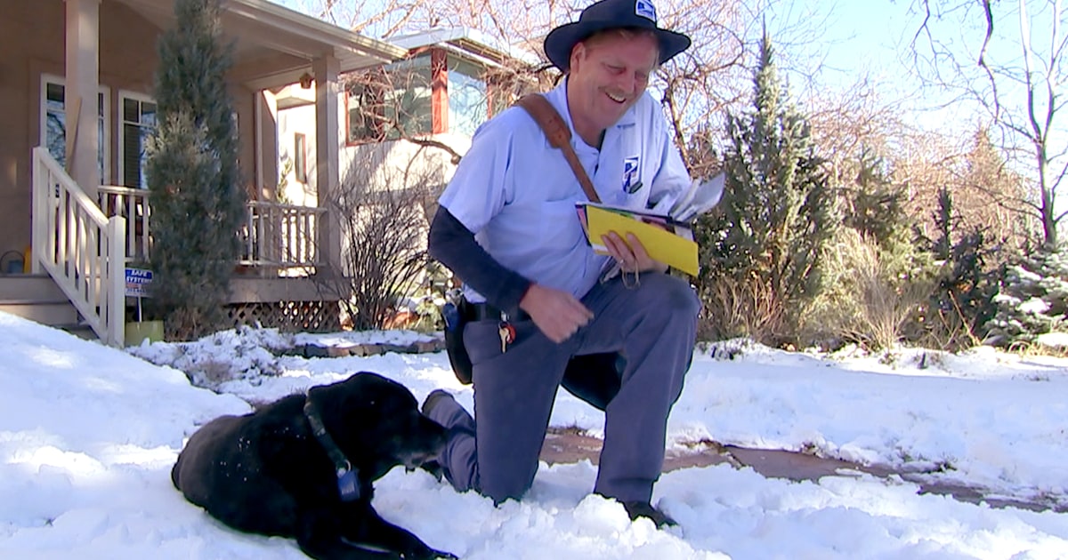 Mailman builds ramp for aging dog after special bond