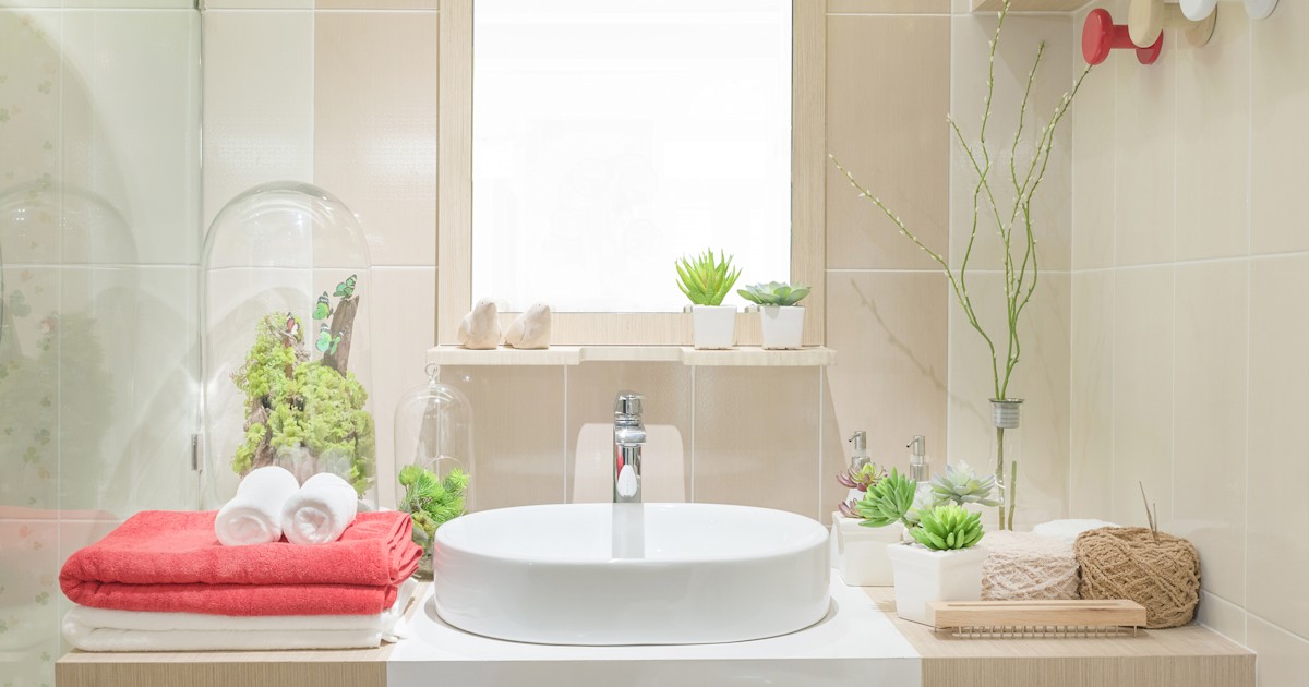 3 benefits of bathroom and shower plants