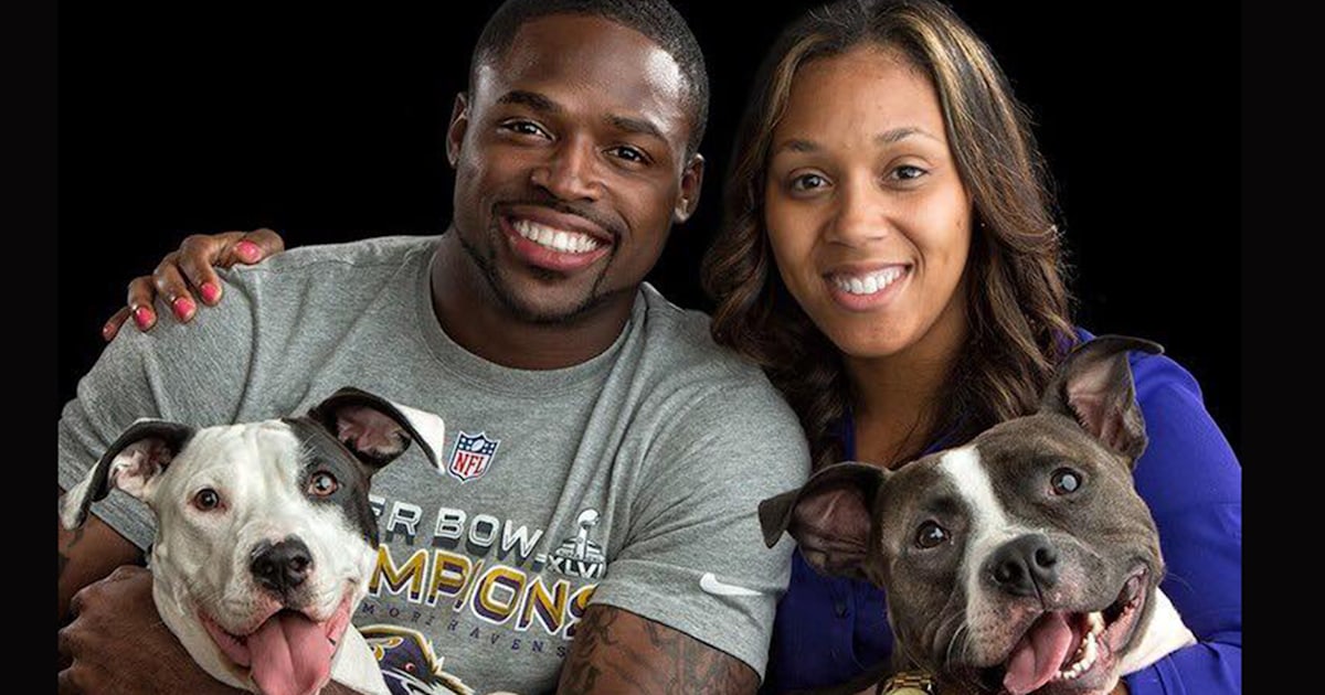 Torrey Smith pays adoption fees for 46 shelter dogs and cats