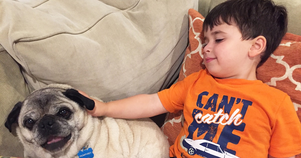 6 things I wish I knew before I told my 3-year-old his dog died