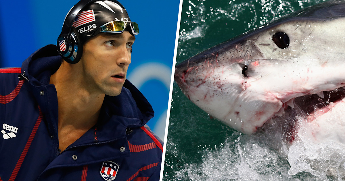 Michael Phelps loses race against great white shark, but that's not why(01)