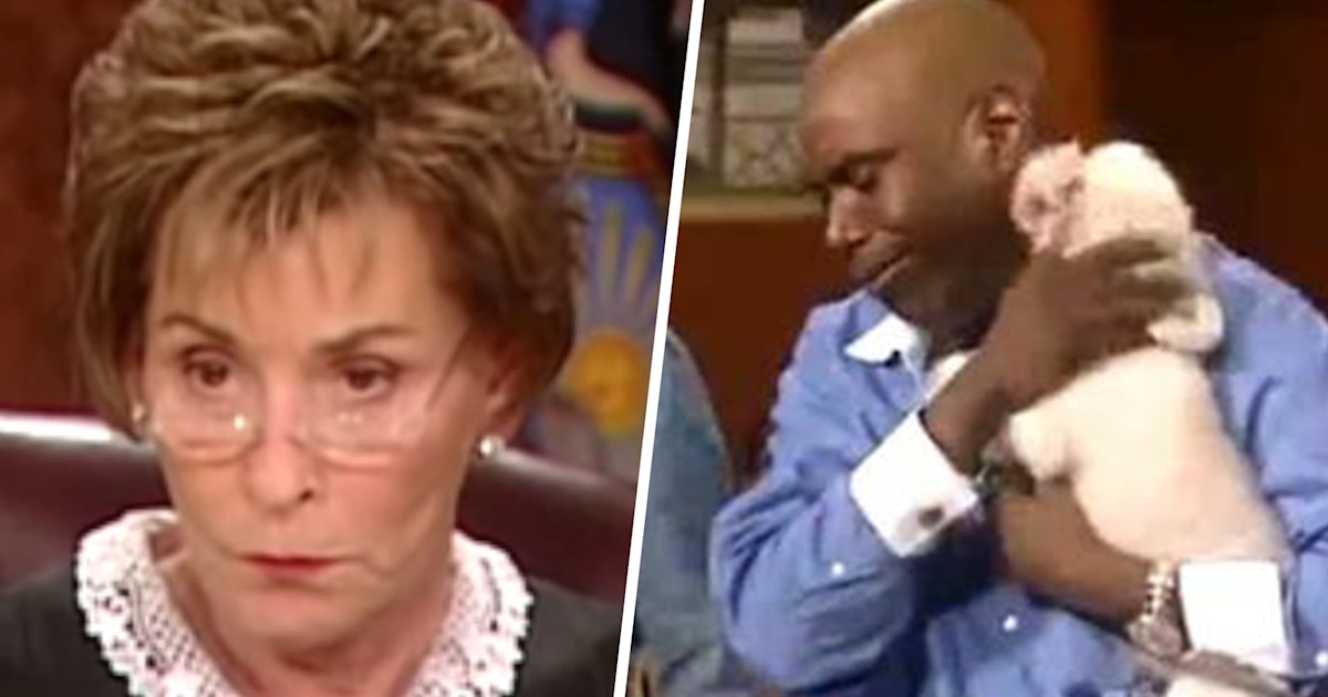 Judge Judy lets dog loose in courtroom to find true owner