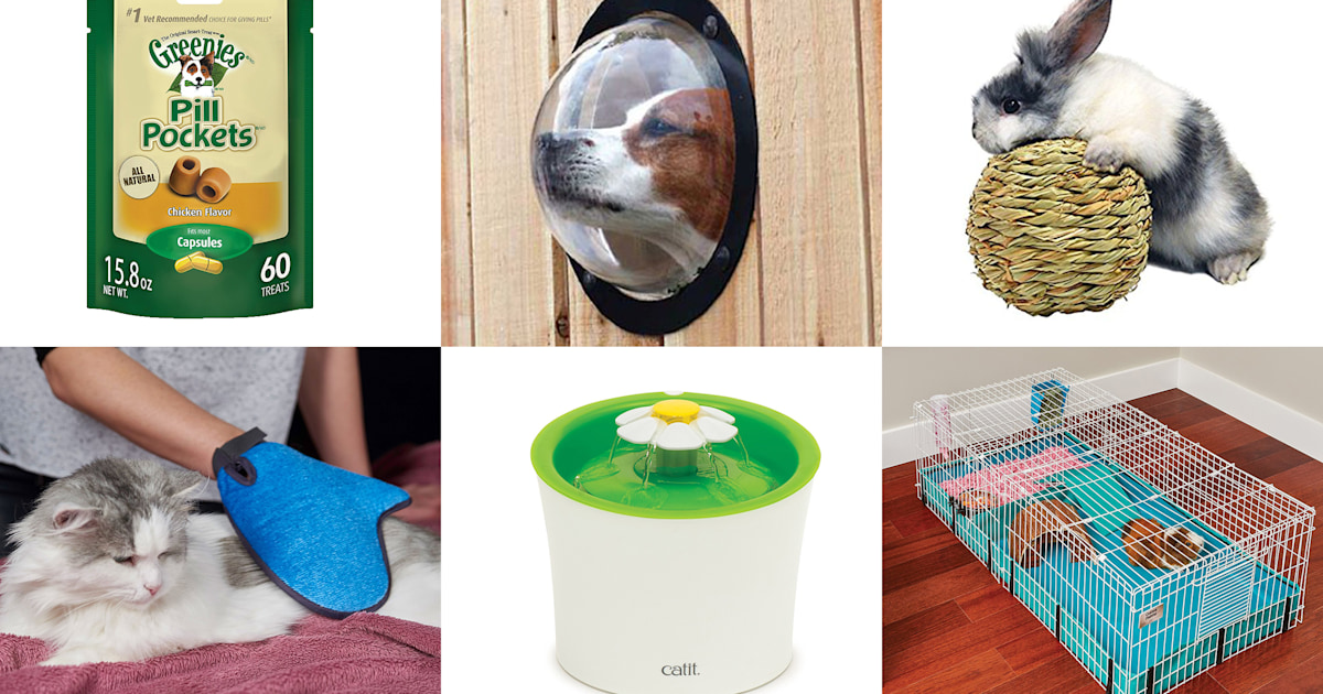 The 13 best products, gadgets and tools for pets on Amazon