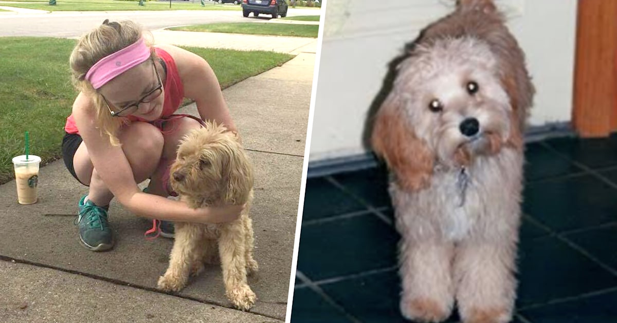 Woman reunites with dog her parents gave up 11 years ago
