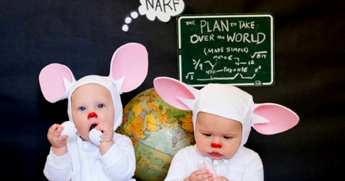 Pinky And The Brain Halloween Costume 31 days of Halloween costumes: 'Pinky and the Brain'