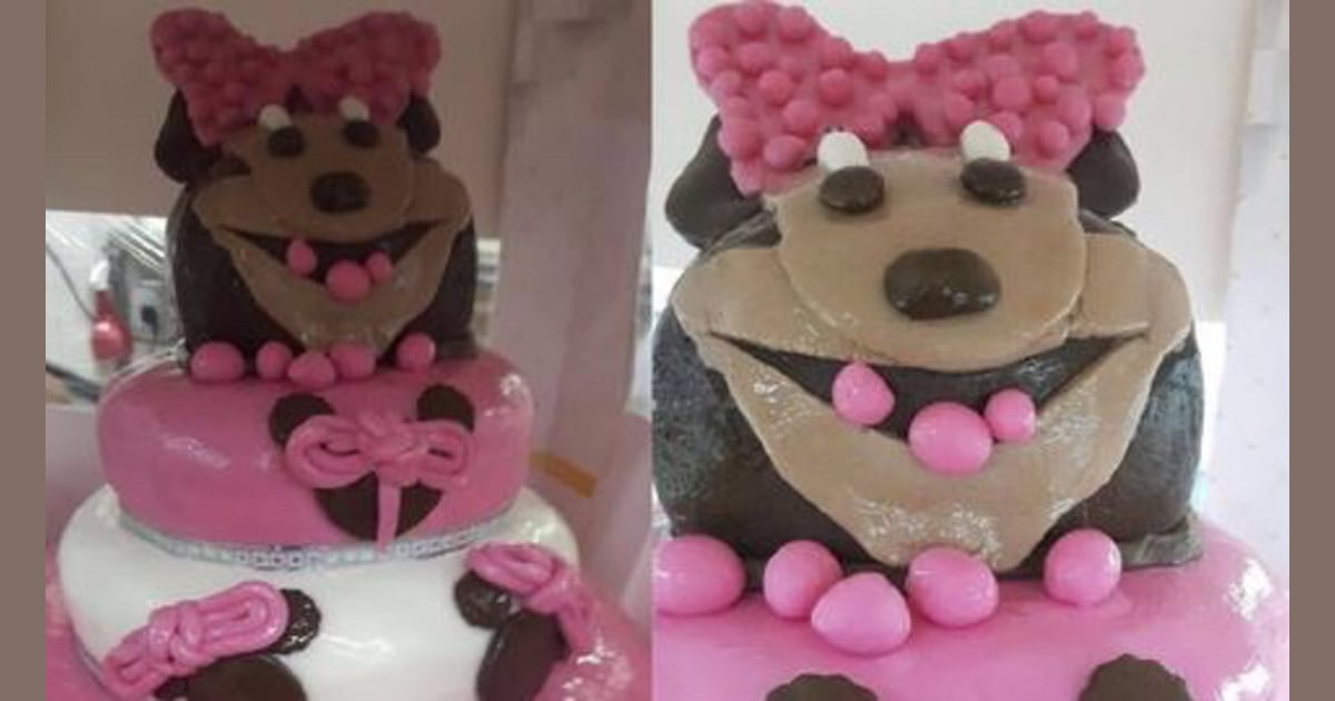 Minnie Mouse cake fail going viral on Reddit