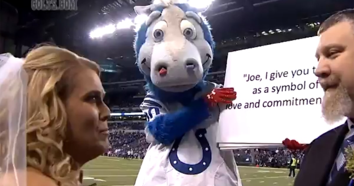 Couple gets married on the field before Indianapolis Colts game