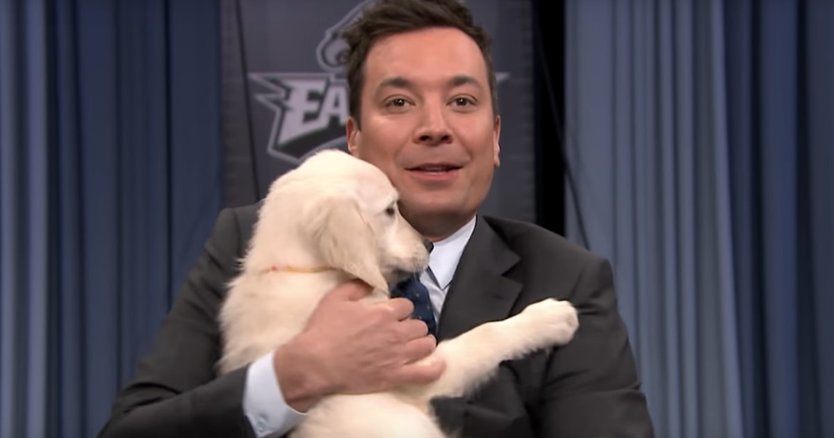 According to the 'Tonight Show' puppies, the winner of Super Bowl LII