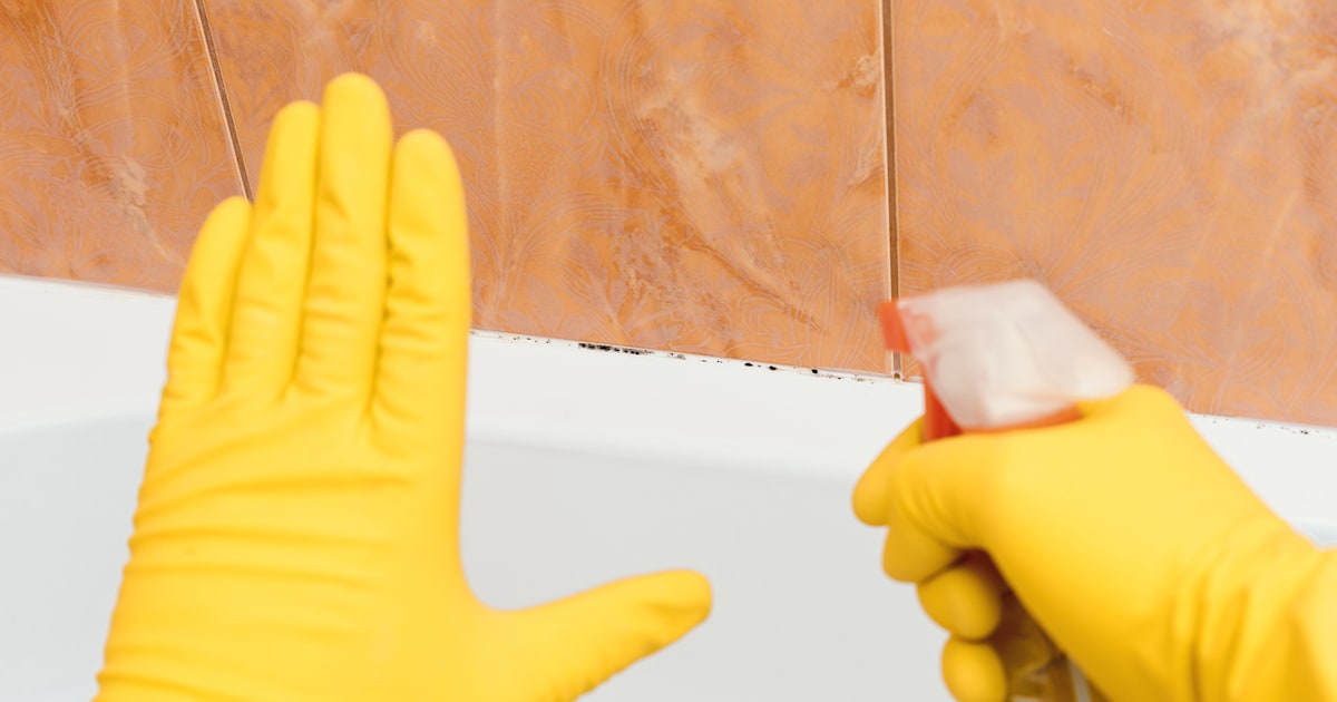How To Remove Mold And Mildew From, How To Get Mildew Out Of Fabric Furniture