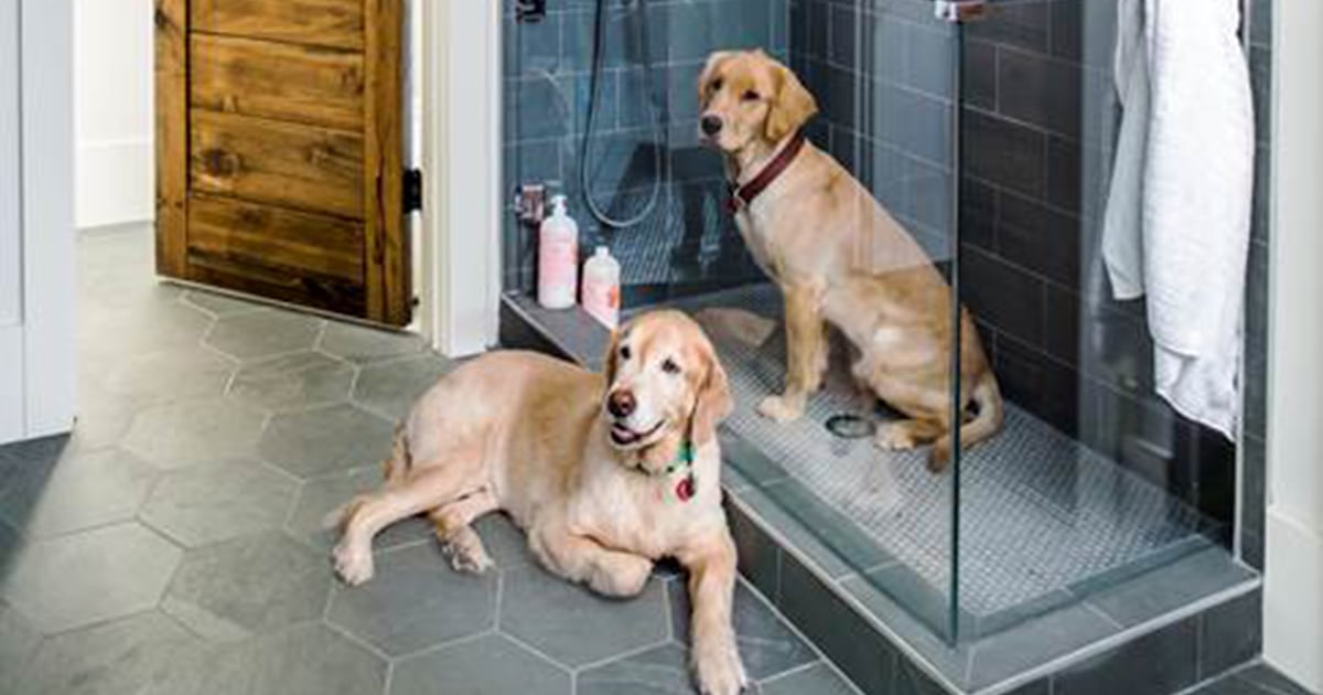 dog shower outside tap