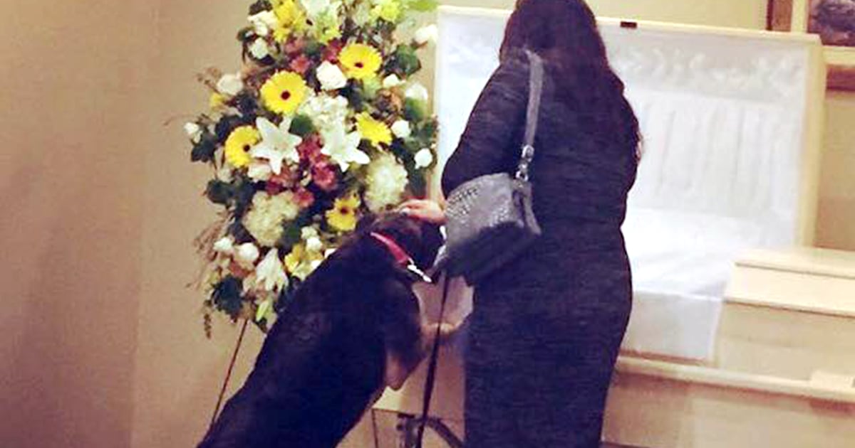 Dog visits funeral home for 1 last goodbye to beloved owner
