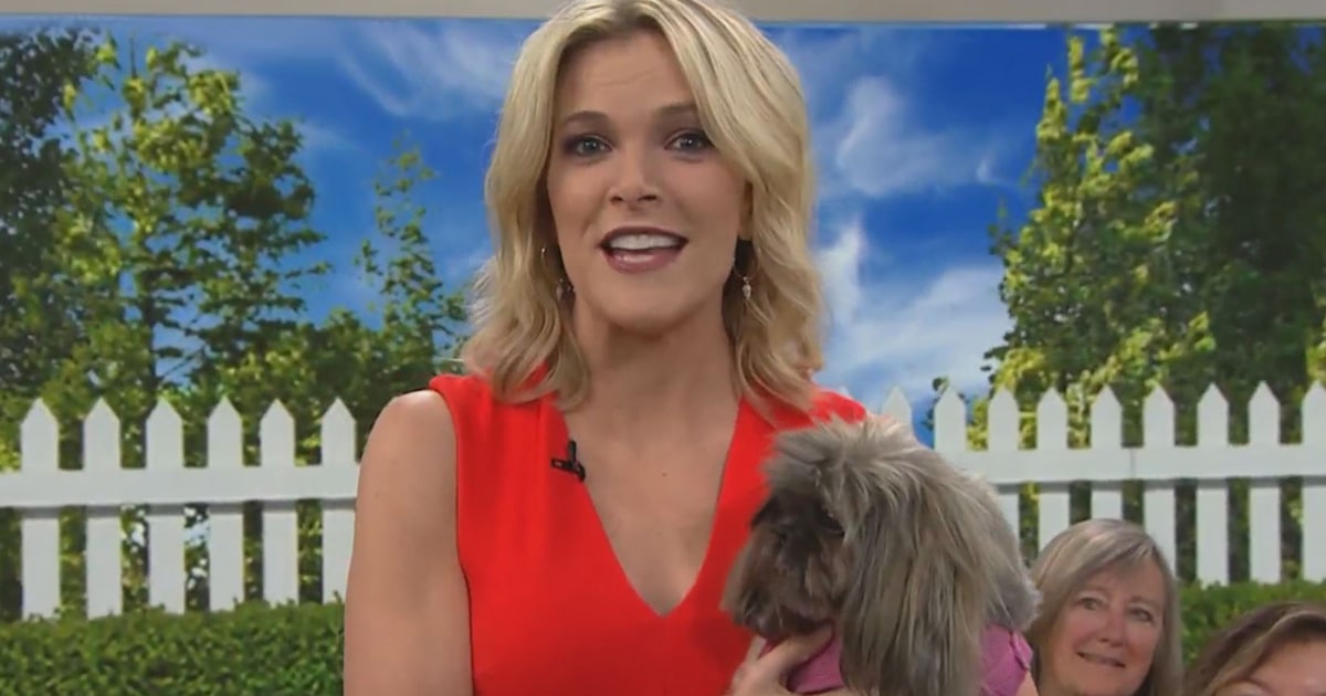 Megyn Kelly's dog Basha has died 'I had 14 beautiful years with her'(02)