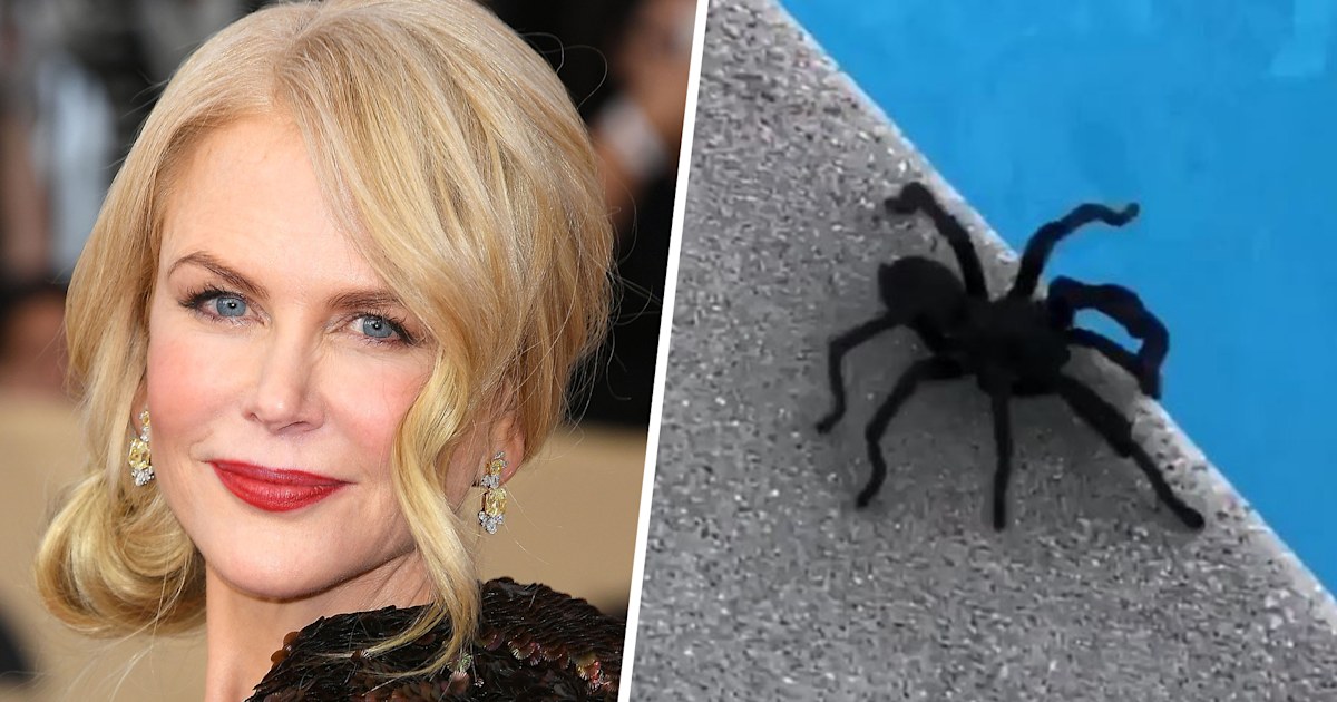 Nicole Kidman Captures A Spider From Her Swimming Pool New Films 18th(02)