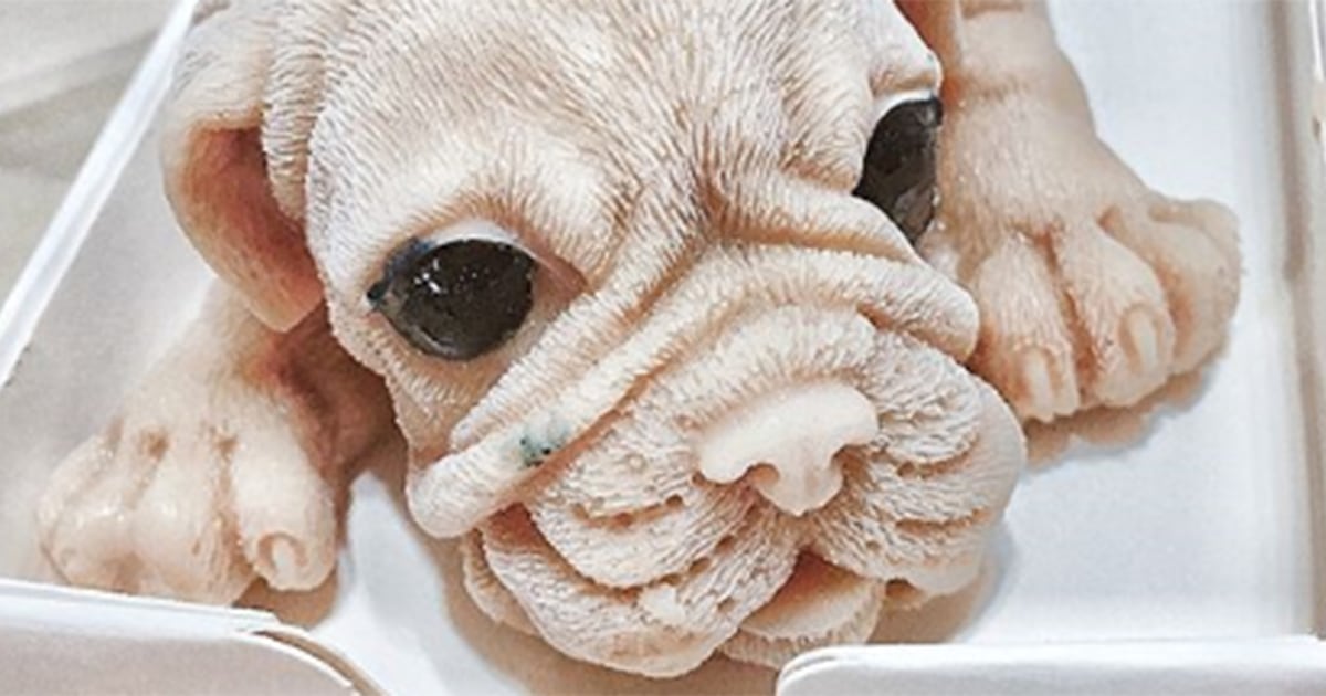 Puppy ice cream cake store