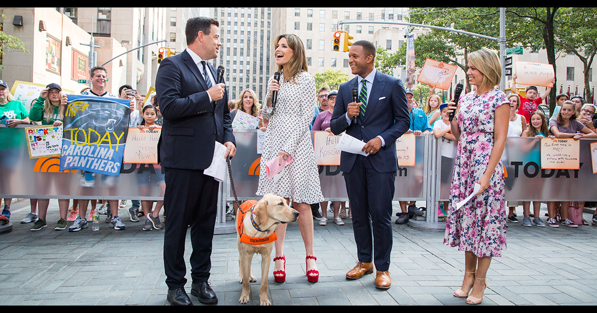 dylan dreyer floral dress today