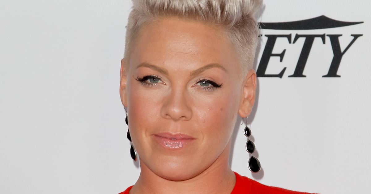 Pink mourns the loss of her dog, shares photo of 'goodbye' kiss