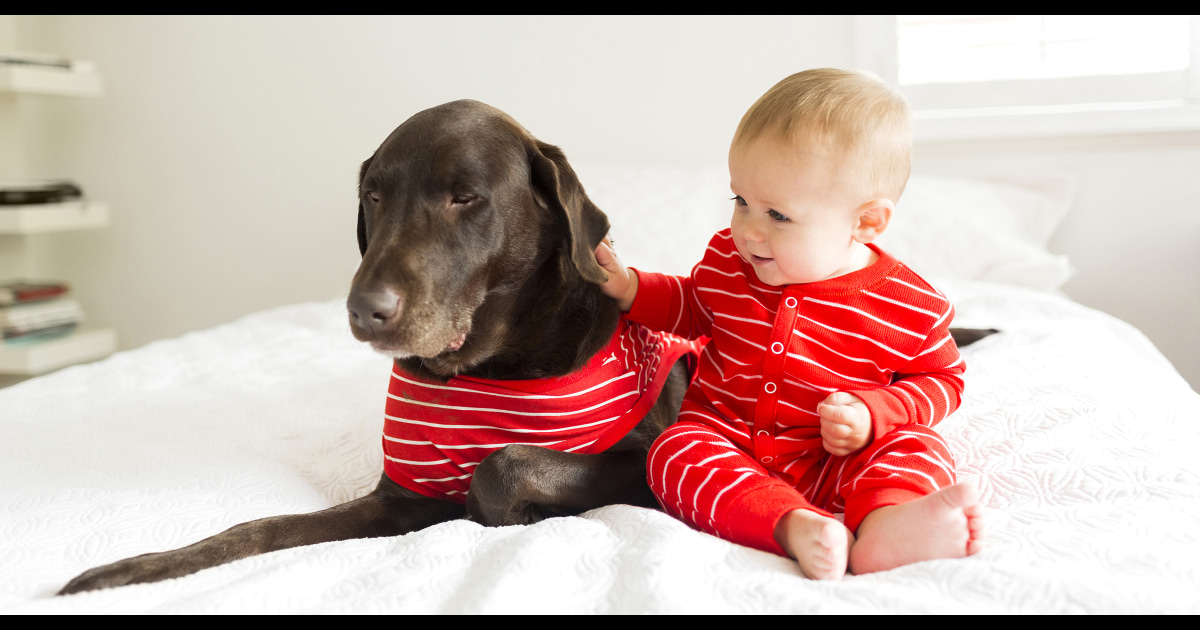 matching dog and mom pajamas