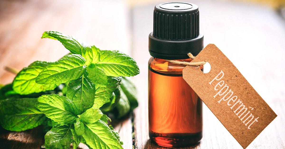 Spearmint Oil  dōTERRA Essential Oils