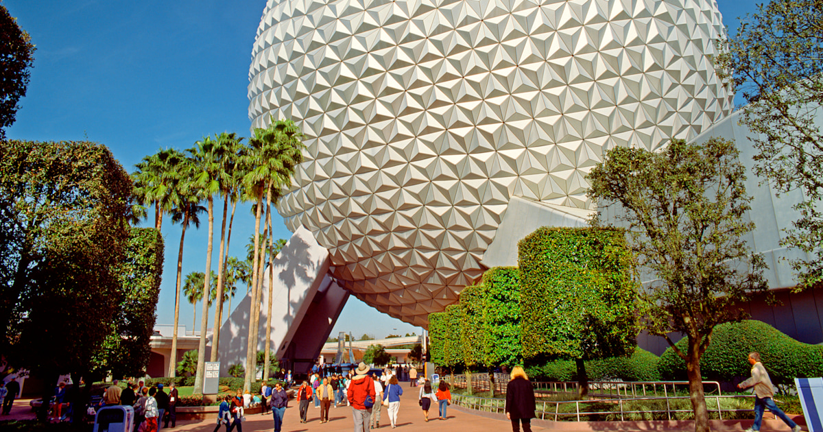 Disney Rabies Rabies alert for part of Walt Disney World after cat scratches workers