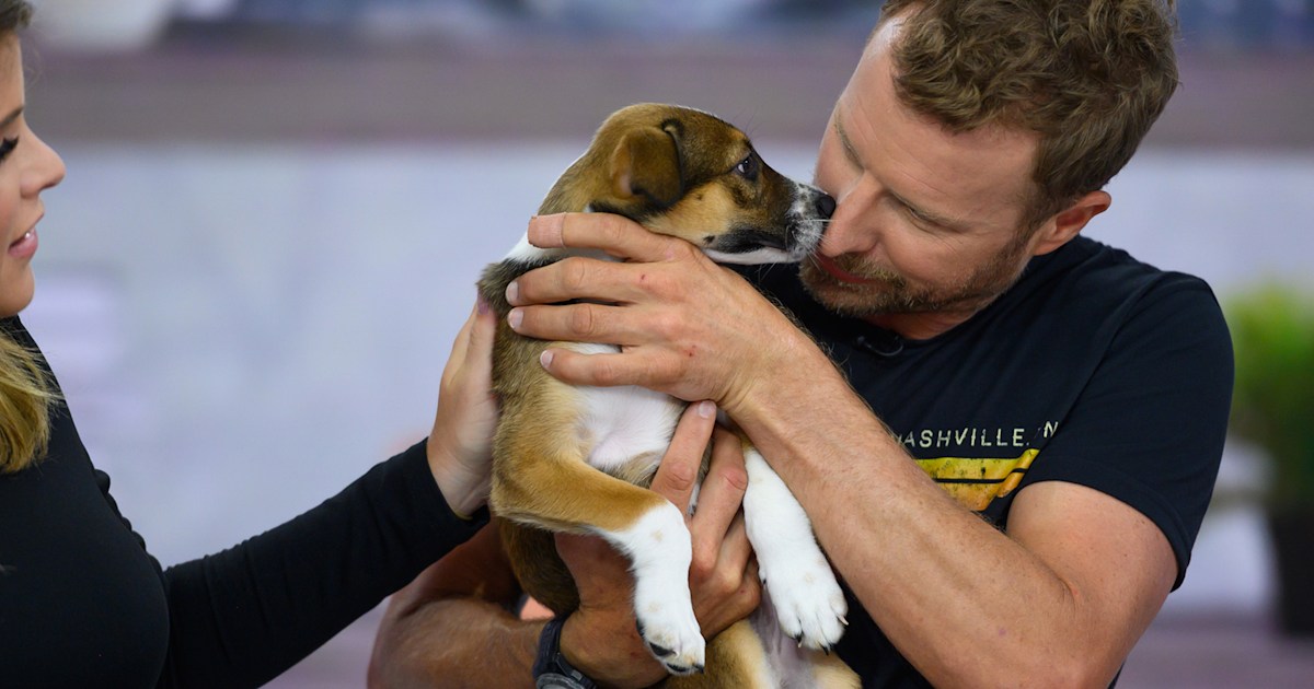 Dierks Bentley adopts a puppy live on TODAY(02)