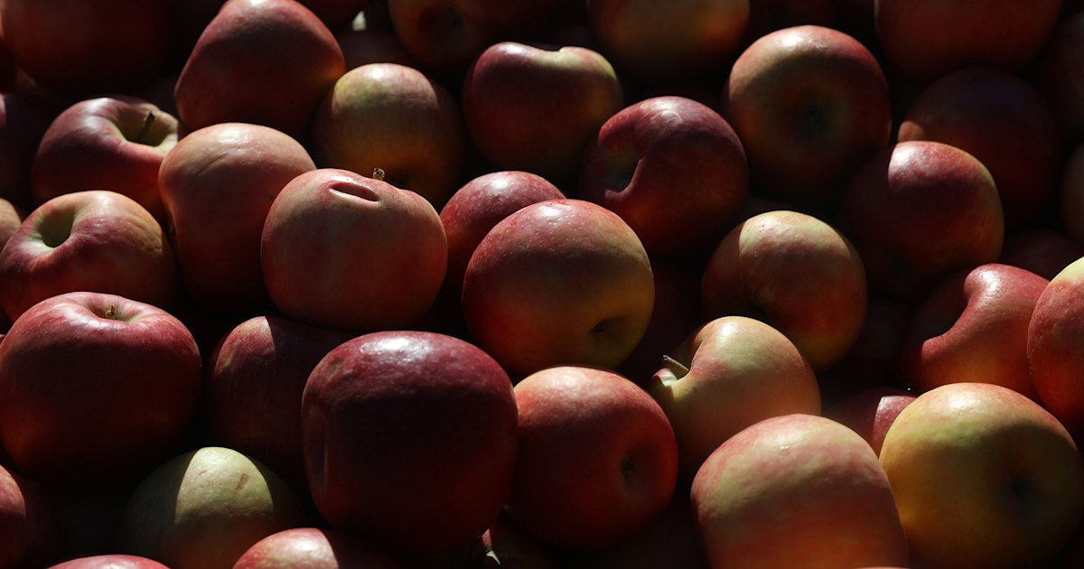 Apples shipped to at least 8 states recalled over listeria concerns
