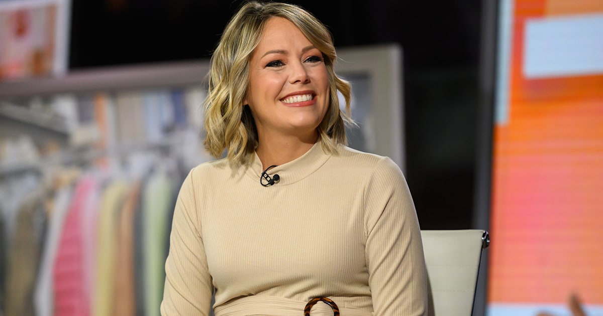 Pregnant Dylan Dreyer defends climbing ladder, painting