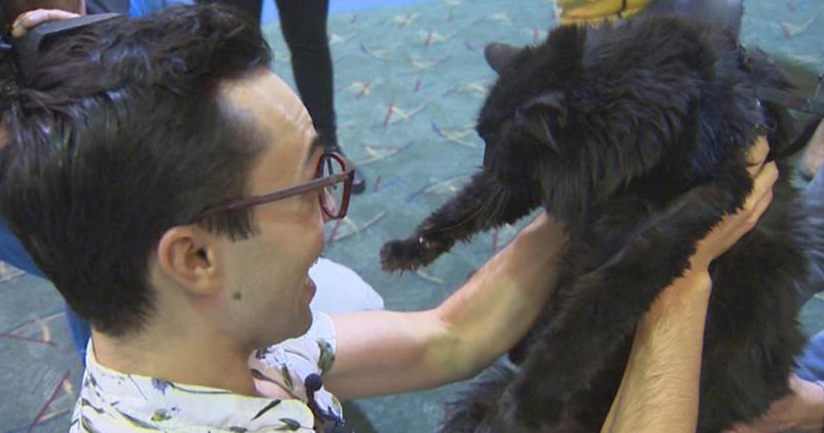 Oregon man reunites with missing cat found in New Mexico 5 years later