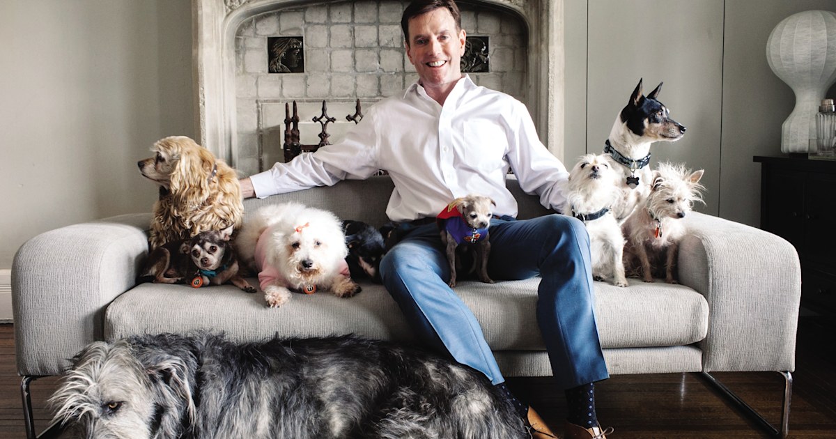 Steve Greig fills his home with senior and special needs pets