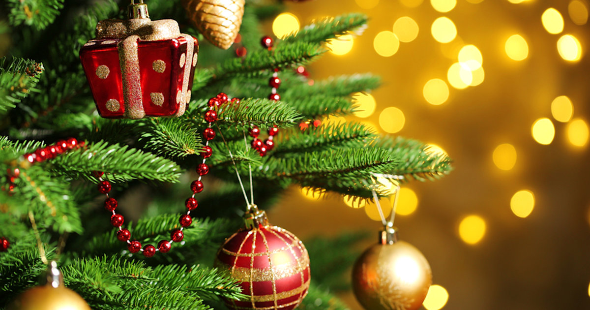 Christmas Tree Not Drinking Water