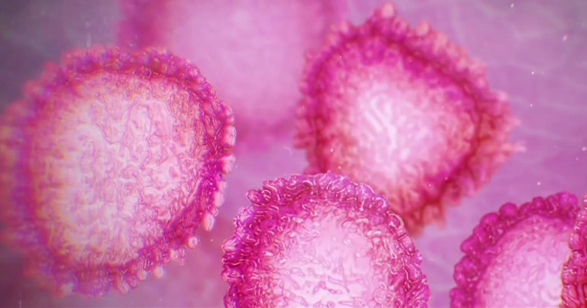 What is the new coronavirus? What to know about the respiratory illness