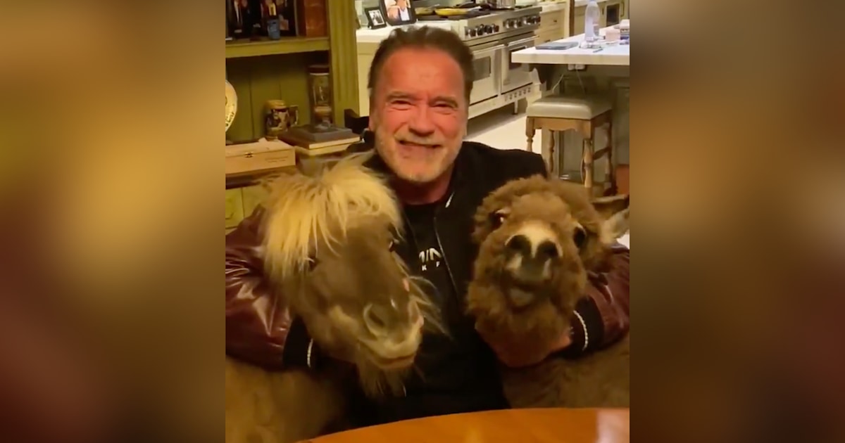 Wait, Arnold Schwarzenegger Has How Many Farm Animals