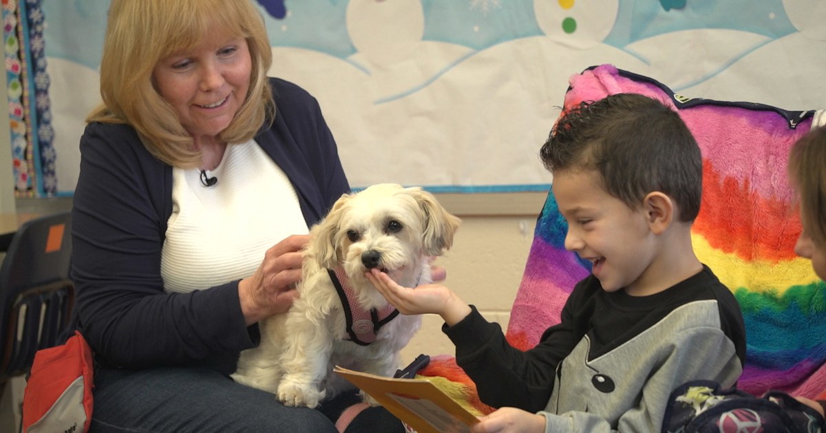 Therapy dogs for children online
