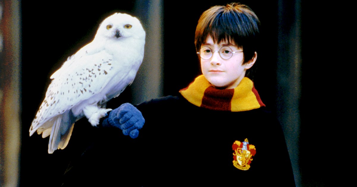 Daniel Radcliffe Celebrities Read First Harry Potter Book 0150