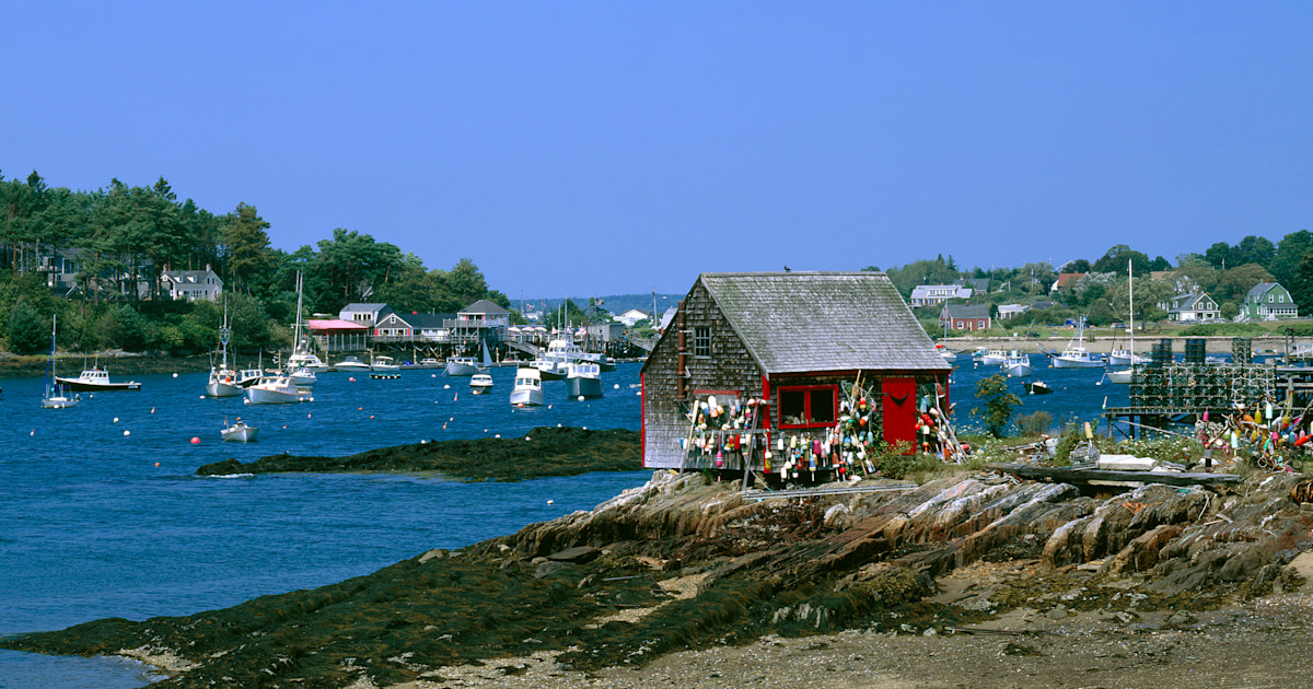 Harpswell shark attack Woman killed off coast of Maine