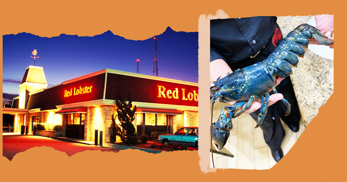 Red Lobster employee saves rare blue lobster from becoming dinner