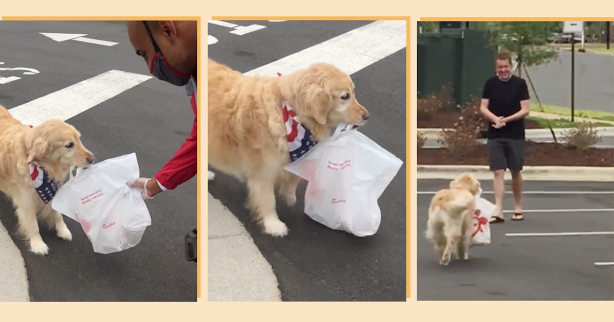 Video of a golden retriever fetching ChickfilA for her owner goes viral