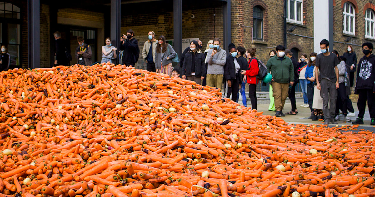 Why were 32 tons of carrots dumped on a university campus?