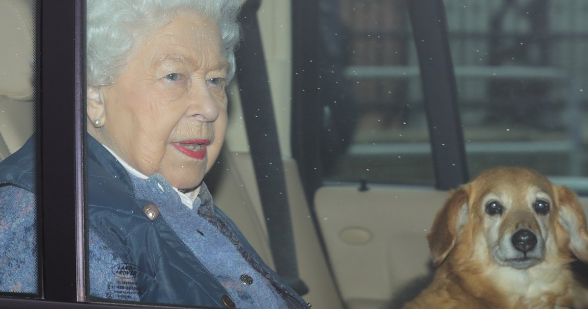 Queen Elizabeth’s Vulcan dies, leaving her with just 1 dog