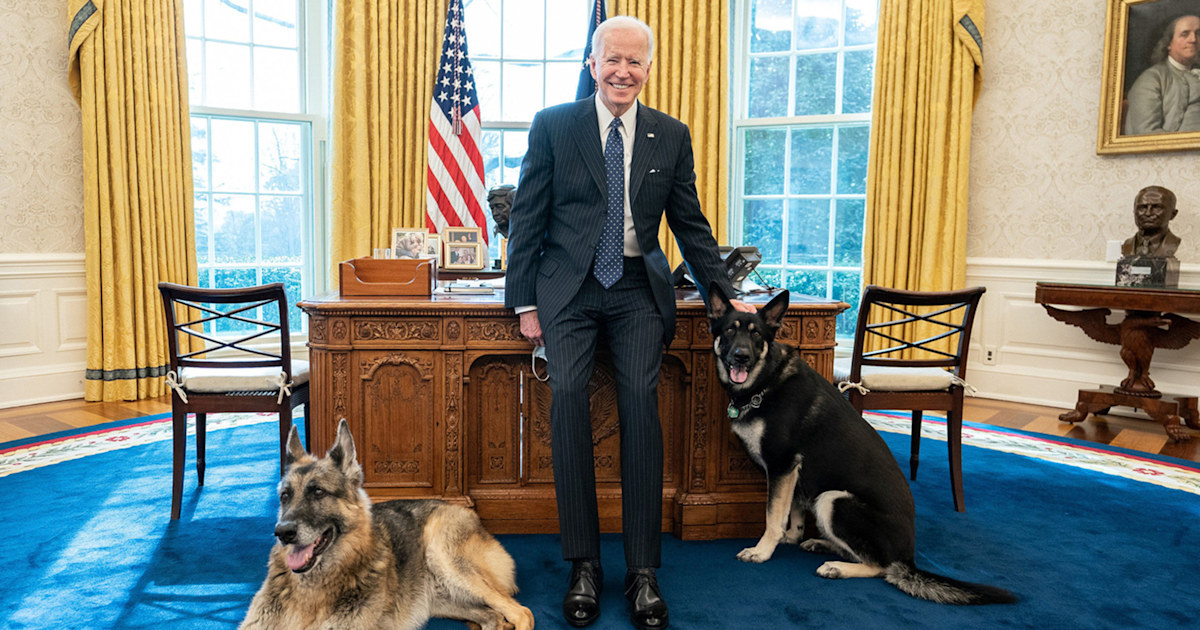 Bidens' dog nips Secret Service agent's hand, causing 'extremely minor