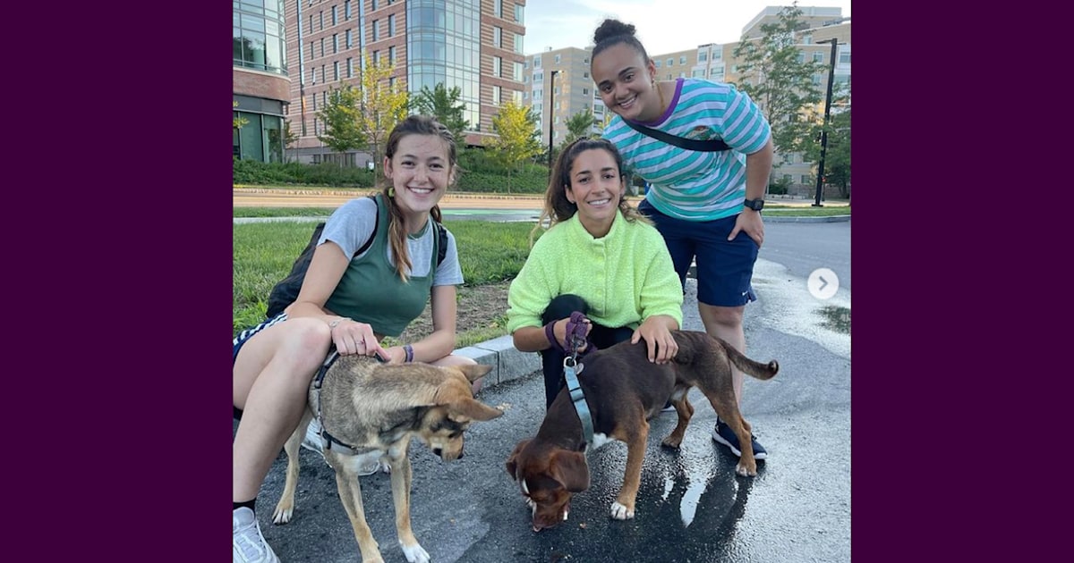 Gymnast Aly Raisman reunited with her missing dog