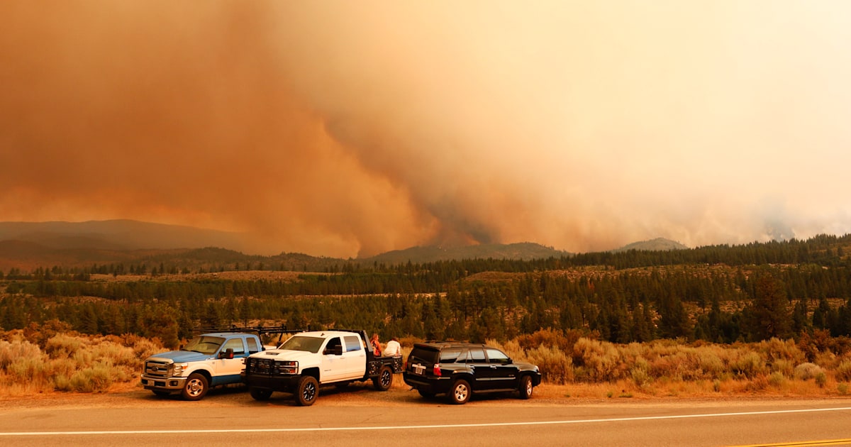 Wildfire smoke could raise risk of severe COVID19 and death, study finds