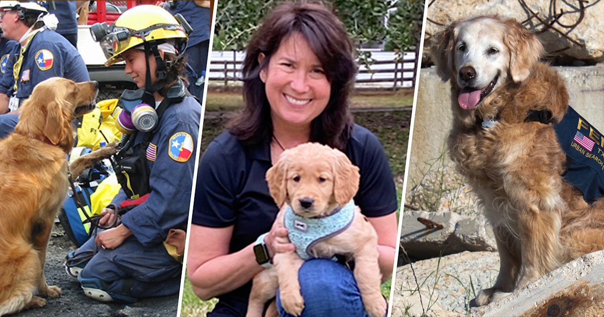 Last 9/11 search dog's legacy lives on in rescue work — and in a furry kid sister