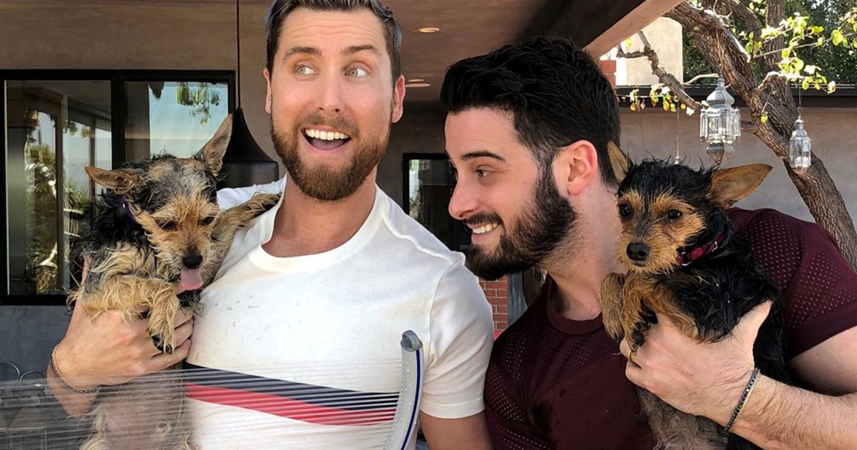 Lance Bass on how his dogs will adjust to newborn twins