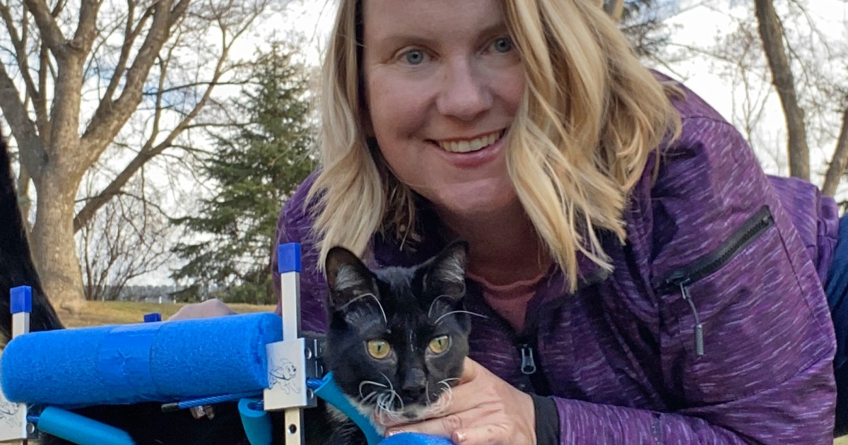Meet the 'AdvoCat' who fosters and celebrates cats with disabilities