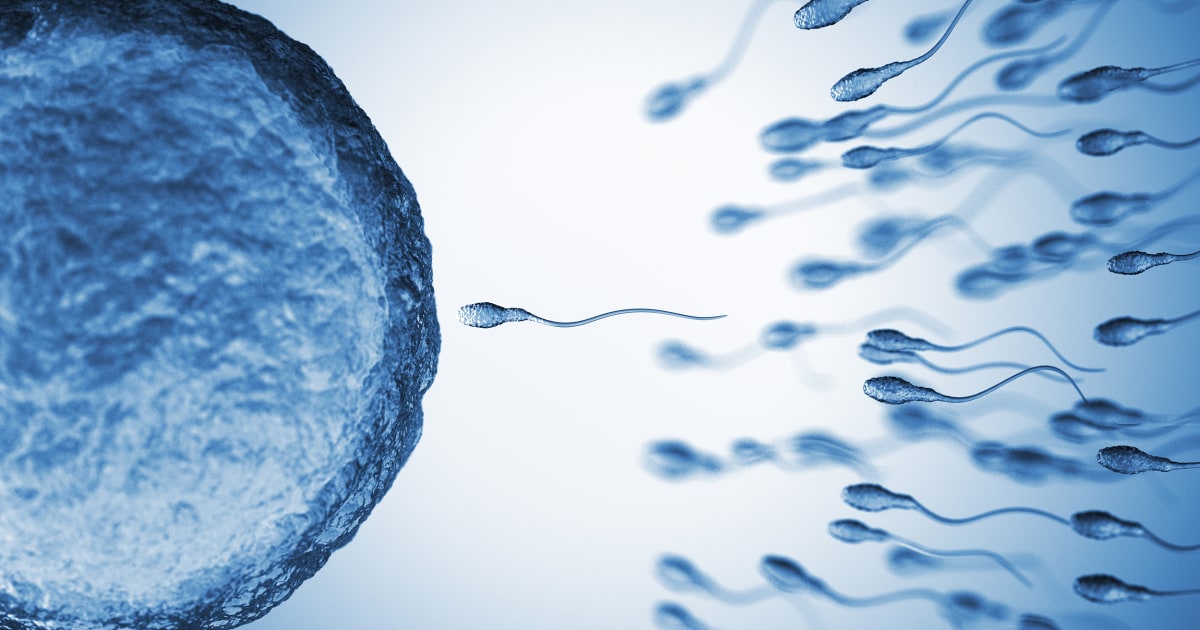 When Are You Most Fertile? Fertility Window For Pregnancy