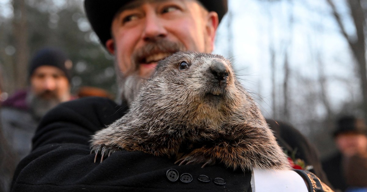 Punxsutawney Phil saw his shadow — prepare for 6 more weeks of winter