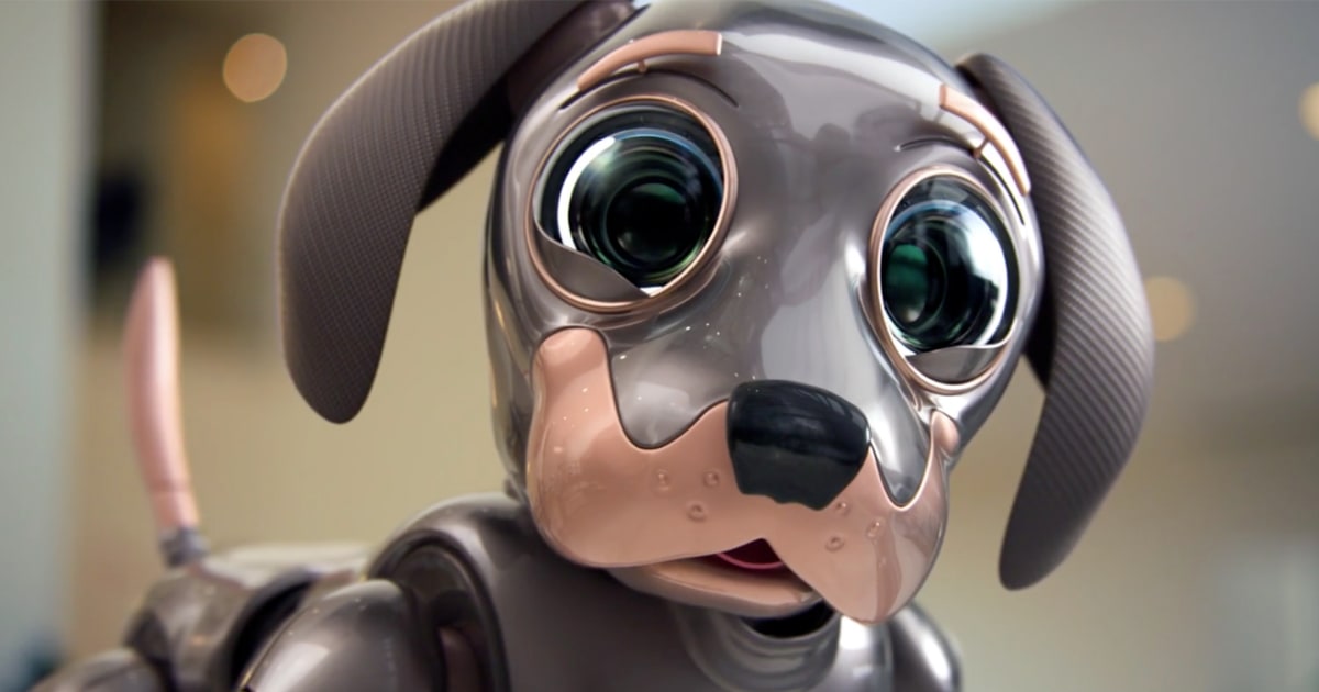 This Super Bowl ad will make you fall in love with a robotic dog