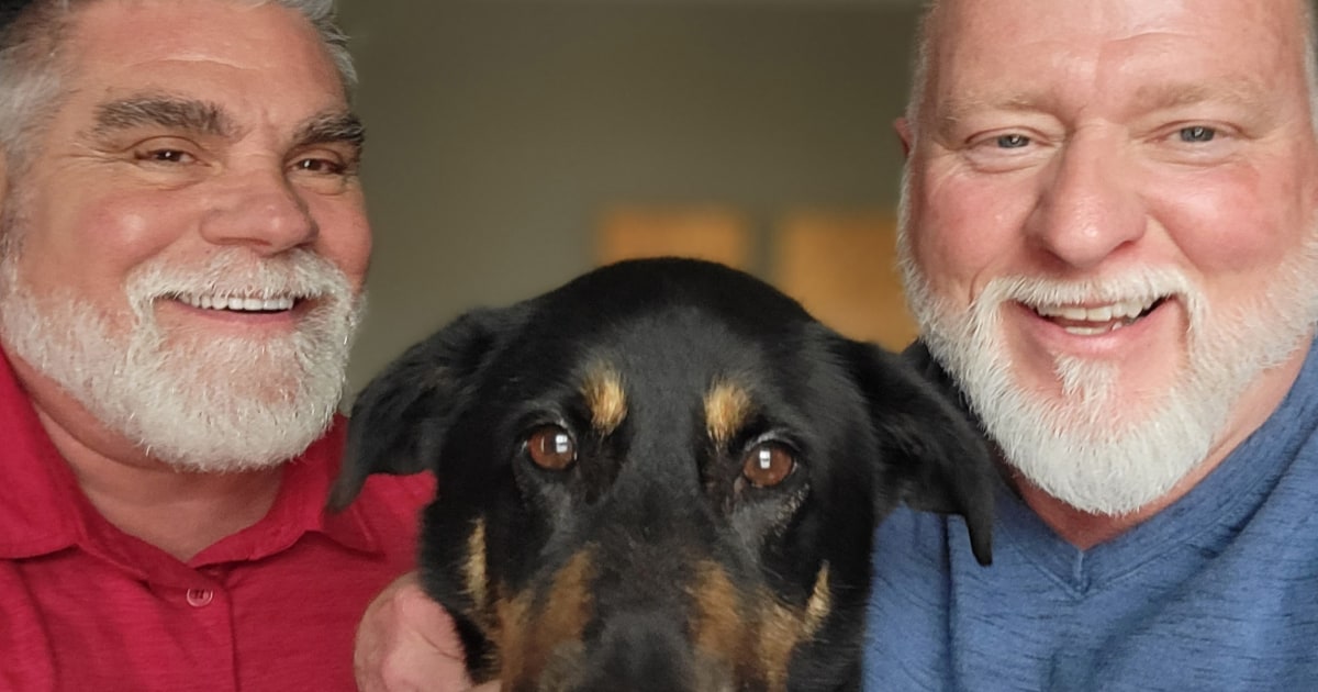 Dog abandoned for being ‘gay’ is adopted by same-sex couple
