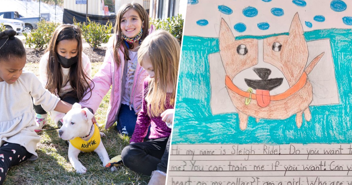 Children wrote essays to help get shelter dogs adopted — and it worked